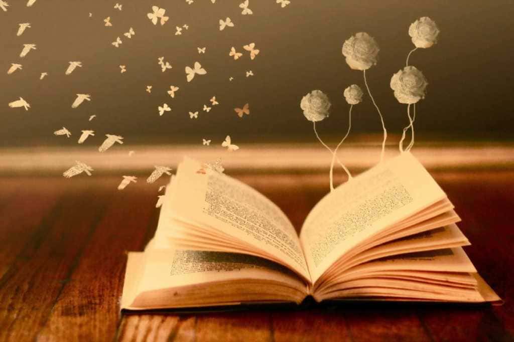 Чого ж вода каламутна – Маруся Чурай книга