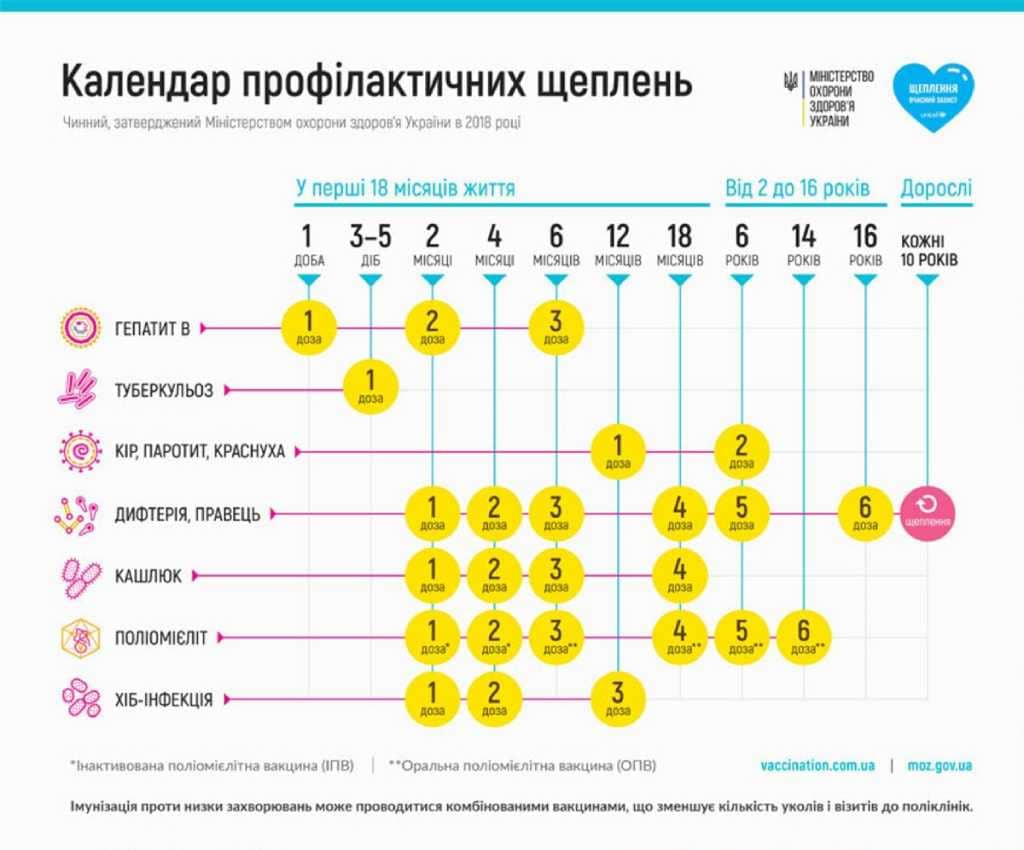 календар вакцинації