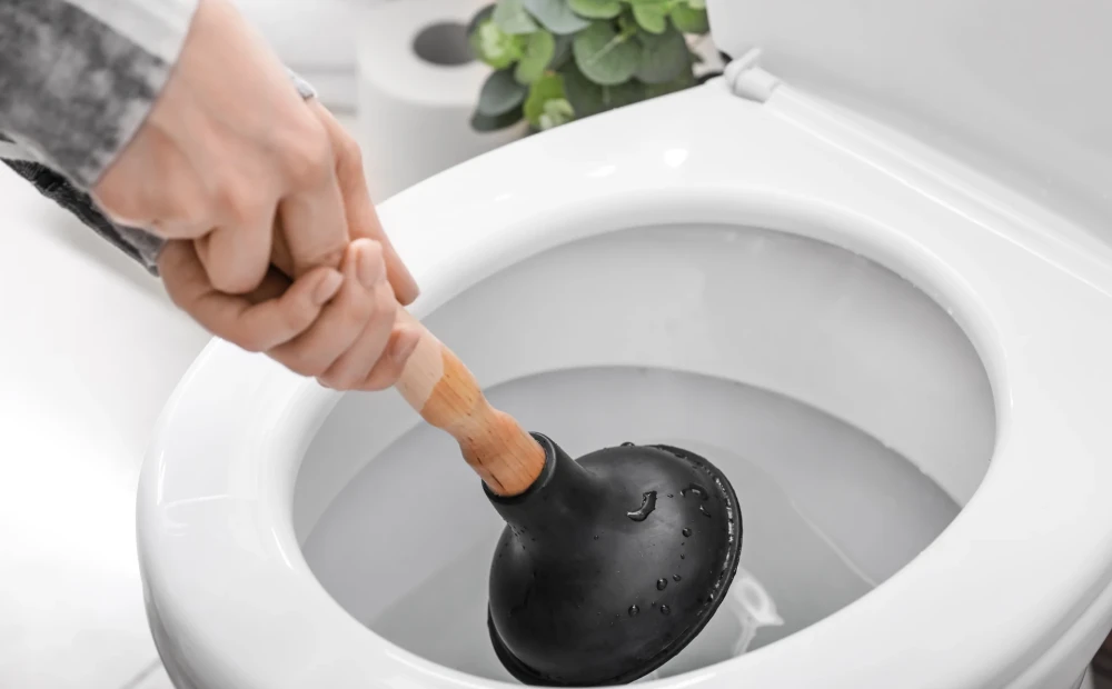 1673357660_1000x620.webp.webp