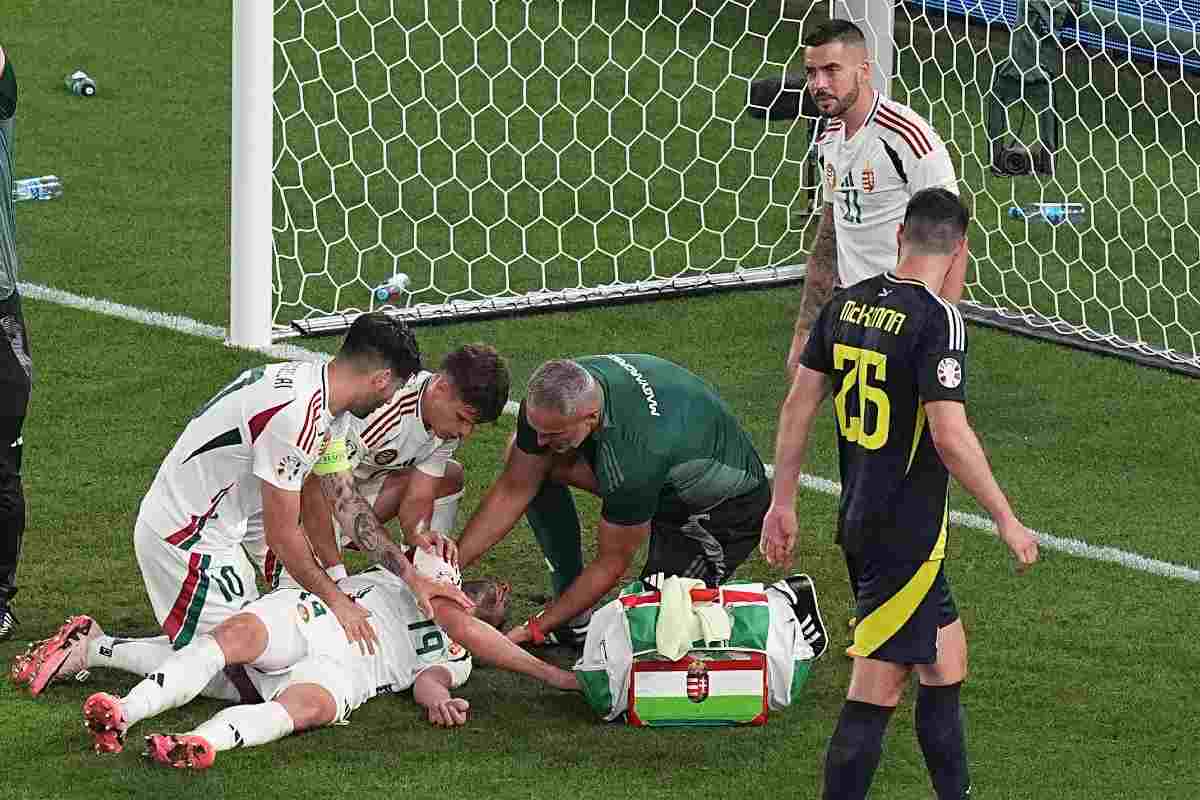 Барнабаш Варга Барнабаш Варга