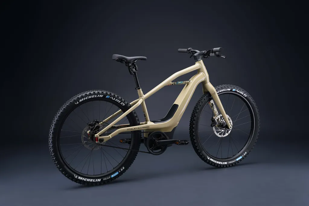 electric bicycle